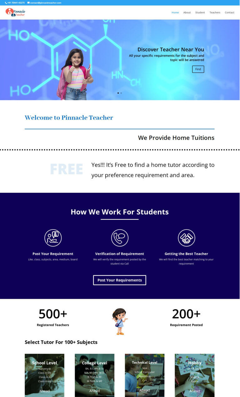 pinnacle teacher digital marketing service