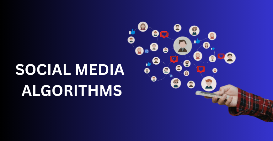 Social Media Algorithms